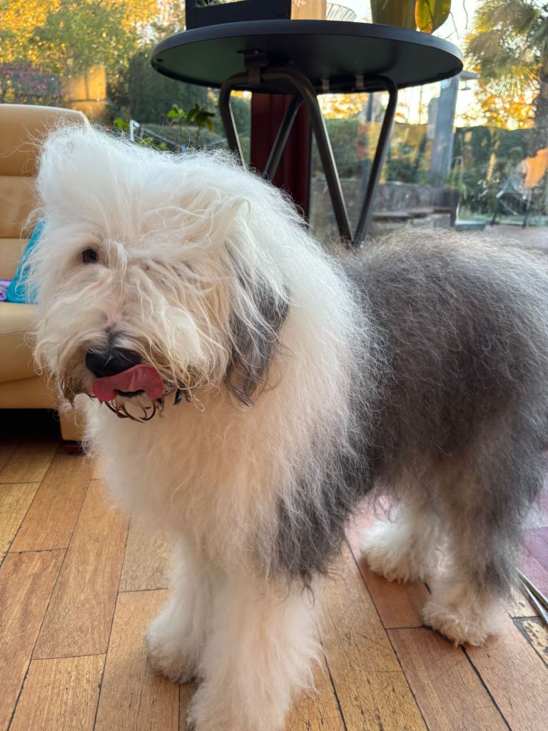 Rebel of Mary People